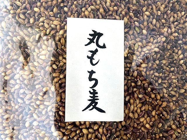 丸もち麦 もち性裸麦(愛媛県産) ダイシモチ100% 900g