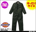 �ڤĤʤ����ۡ�Dickies�ۥ���ݡ��ȥĥť��ʤĤʤ����� 4879 ��������������ʻ���ä��