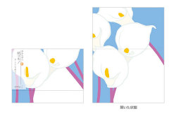 �楳��Ρ������ɡ�����ޤ�ۥ��顼��