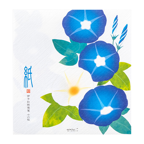 完売しました★便箋 両面 朝顔柄 青(85927006)