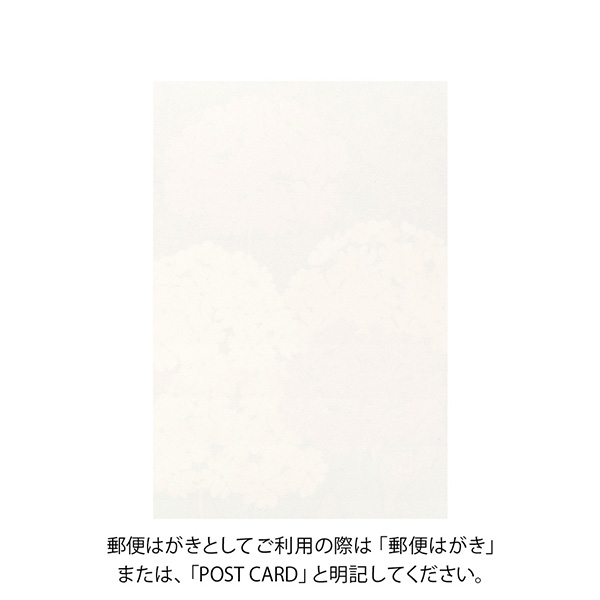 ポストカード 桜草柄(88583006)