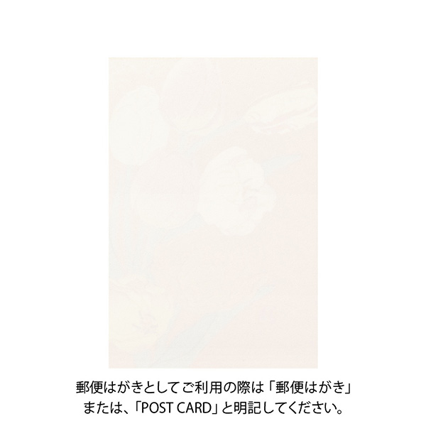 ポストカード チューリップ柄(88585006)