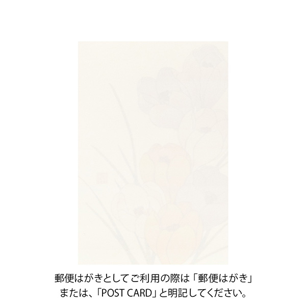 ポストカード クロッカス柄(88588006)