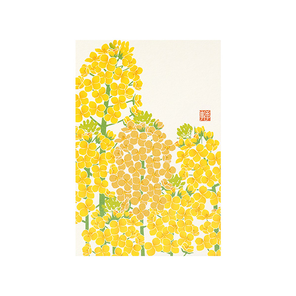 ポストカード 菜の花柄(88589006)