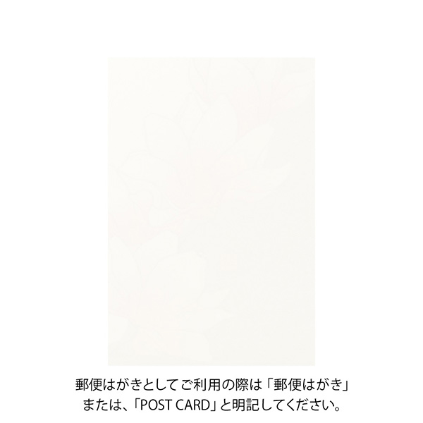 ポストカード 木蓮柄 ピンク(88713006)