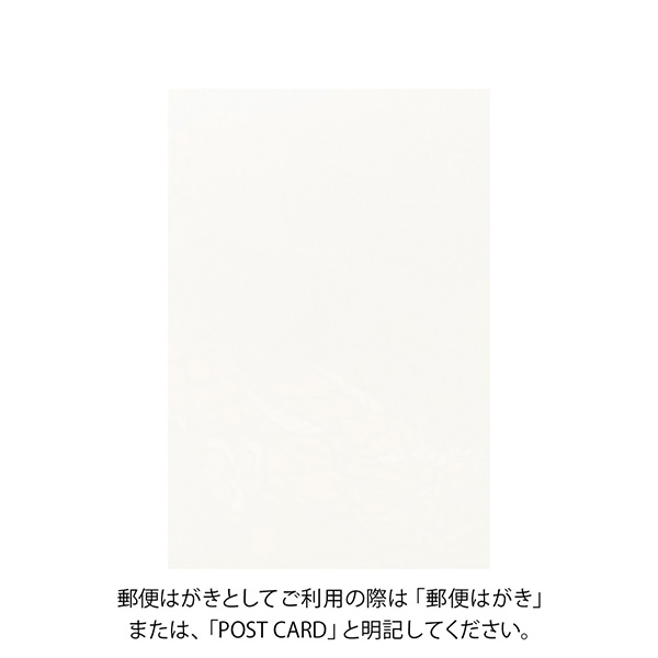 ポストカード 龍柄(88716006)