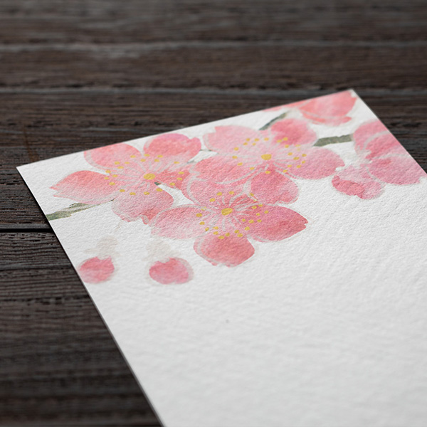 一筆箋 シルク 桜柄 白(89460006)