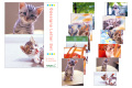 レターセット177 写真 ネコ柄 (86177006)