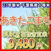 ���ո� ���������ޤ�