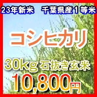 ���ո� �����ҥ���