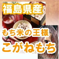����Ƥβ��͡�������23ǯ��ʡ�縩�������ͤ�������ƣ�����/1kg