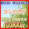 千葉県 コシヒカリ