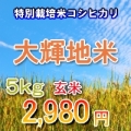 【送料無料】23年産 福島県 特別栽培米コシヒカリ(大輝地米) 【石抜玄米 5キロ/5kg