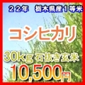 栃木県 コシヒカリ