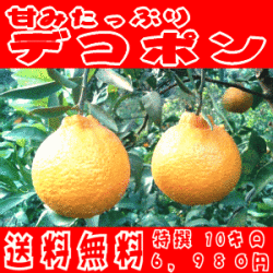 �ǥ��ݥ�