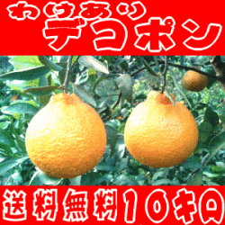 �櫓����ǥ��ݥ�