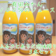 �ߤ��󥸥塼��
