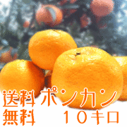 �ݤ󤫤�