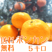 �ݤ󤫤�