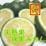 Ŧ�̤ߤ���