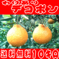 �櫓����ǥ��ݥ�