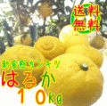 �Ϥ뤫�ߤ���