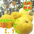 �Ϥ뤫�ߤ���