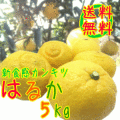 �Ϥ뤫�ߤ���