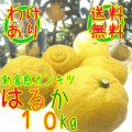 �櫓����Ϥ뤫�ߤ���