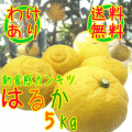 �櫓����Ϥ뤫�ߤ���