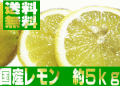 lemon5kg.gif
