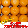 �礭��ͭ�Ĥߤ���