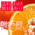 �櫓���ꥻ�ߥΡ��륪���