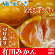 ̣�ˤϼ������ɤ櫓����ߤ��󡢺��祵�����ɤɺ�������3kg��