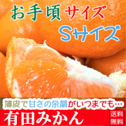 ��̣ǻ�������꺢������S������5kg