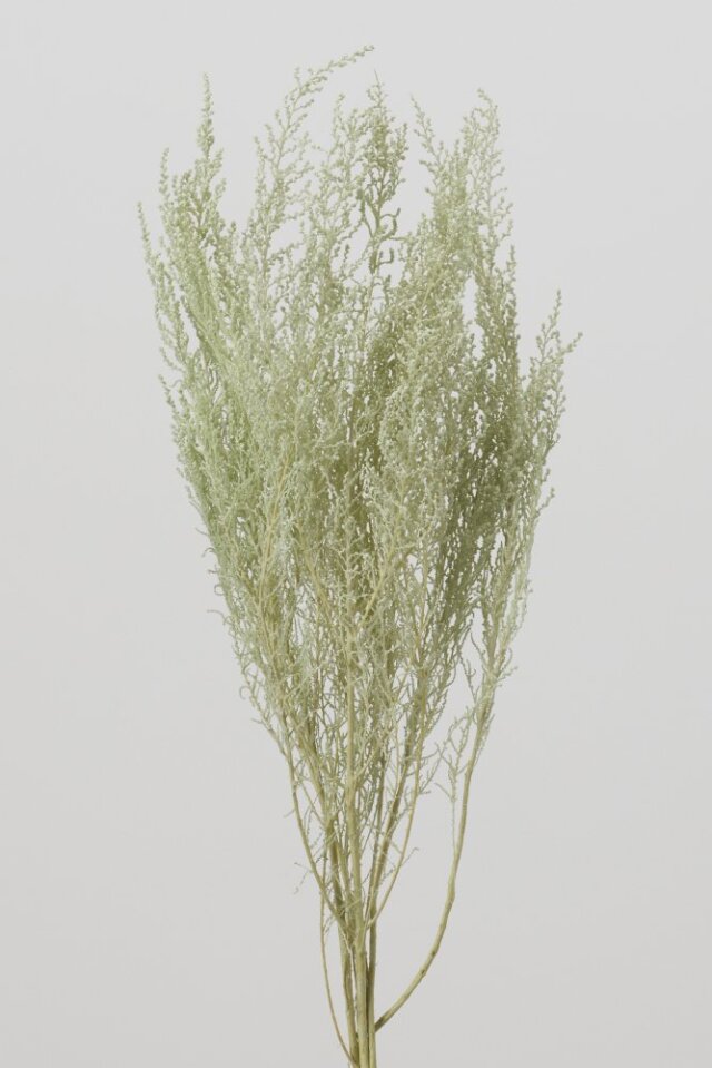 ストーベ アイスグリ-ン 01760-771