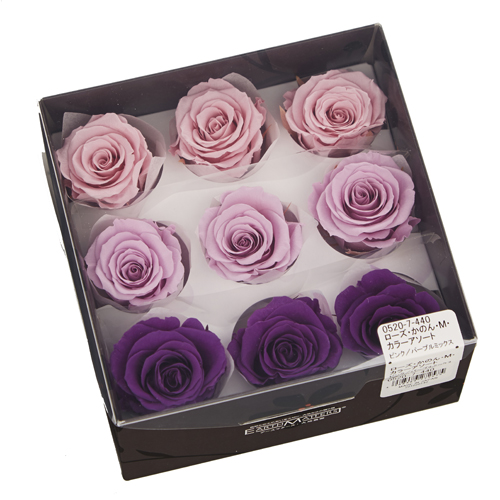 ローズ・かのん・M・カラーアソート パープルミックス 05207-442-1 特別割引60%OFF