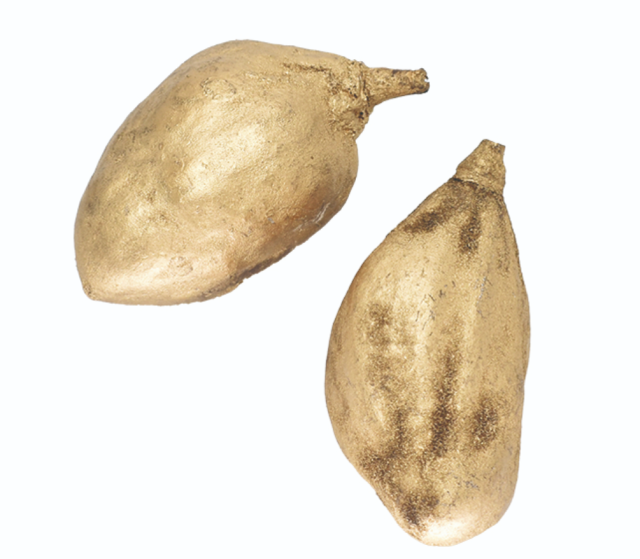 バオバブ/ゴールド 10830