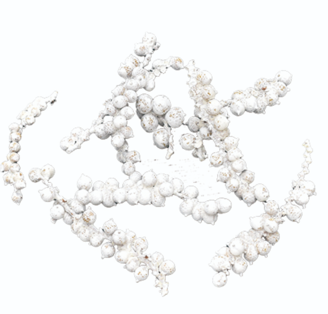 カネラカット/グレイッシュ 10833