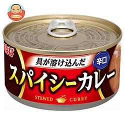 いなば食品 スパイシーカレー 165g×24個入