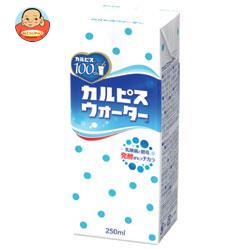 カルピス カルピスウォーター 250ml紙パック×24本入