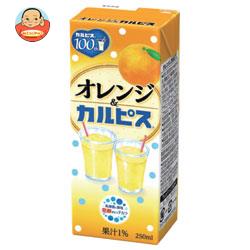 カルピス オレンジ&カルピス 250ml紙パック×24本入