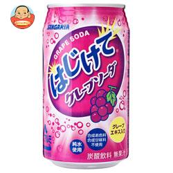 サンガリア はじけてグレープソーダ 350g缶×24本入