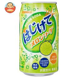サンガリア はじけてメロンソーダ 350g缶×24本入