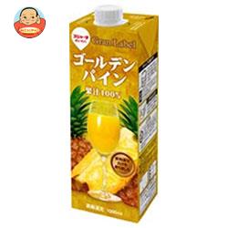 スジャータ ゴールデンパイン 1000ml紙パック×6本入