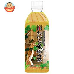 廣貫堂 おわら桑摘み茶 500mlペットボトル×24本入