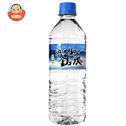 永伸商事 奥大和の銘水 540mlペットボトル×24本入