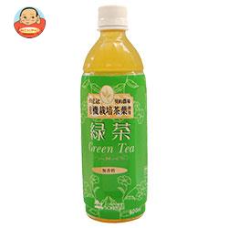 創健社 緑茶 500mlペットボトル×24本入