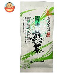 山城物産 鹿児島有機煎茶 100g×20袋入