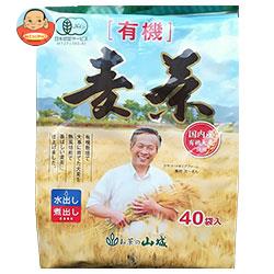 山城物産 国内産有機麦茶 ティーバッグ 10g×40P×15袋入